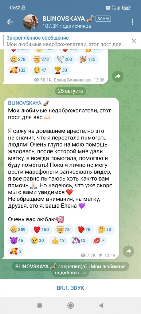 Telegram-канал Елены Блиновской